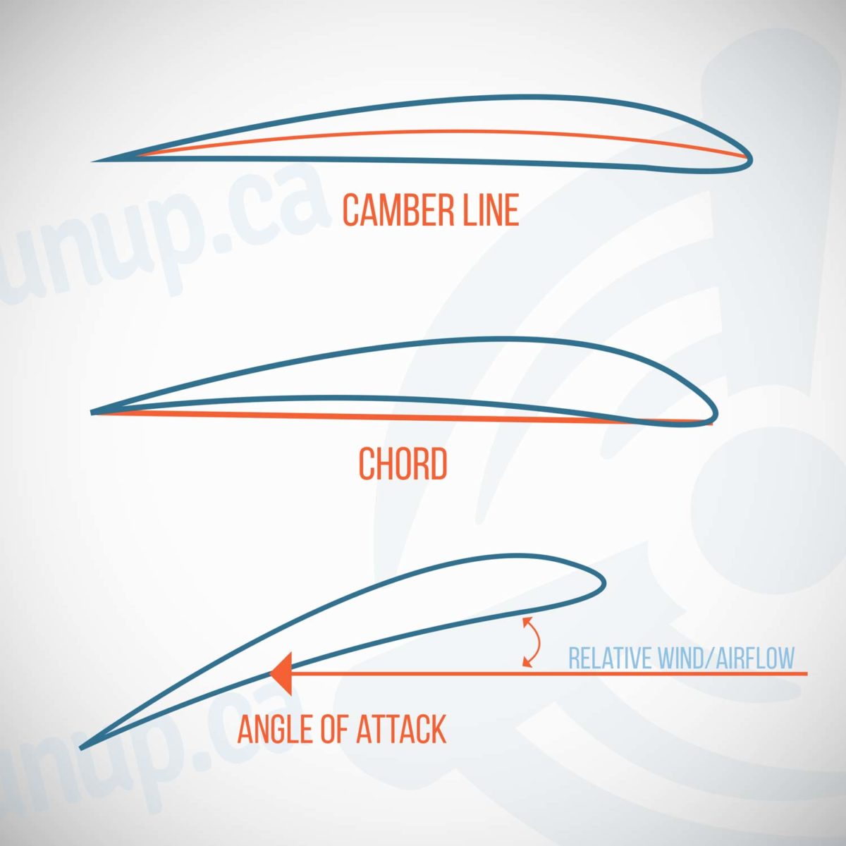 what-is-the-chord-of-a-wing-runup-ca